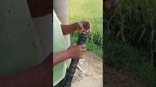 Download lagu Suara-Suara yang Menakutkan Burung (HD) mp3