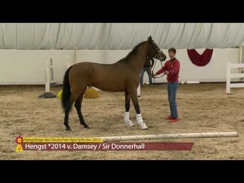 KN 08 v. Damsey - Sir Donnerhall