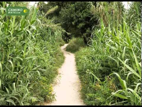 New Camino route in O Porriño l CaminoWays.com