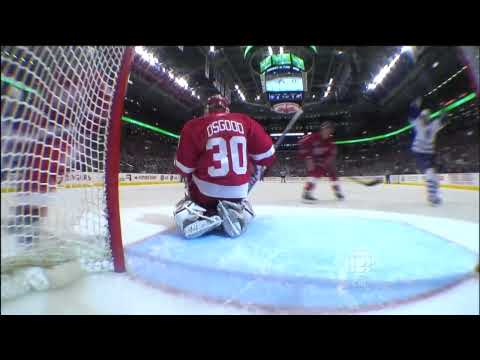 Alexei Ponikarovsky Goal from November 7th 2009 vs Red Wings (HD)