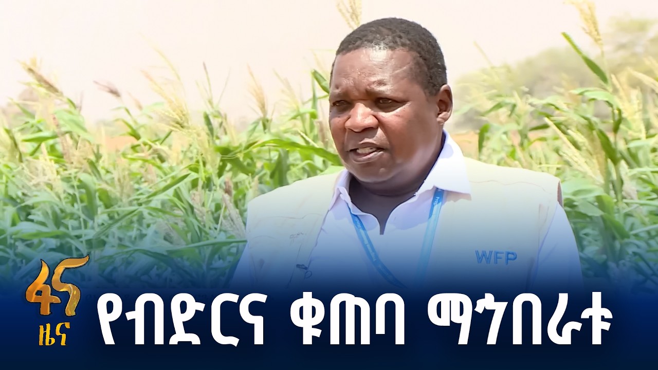 ምርታማነትን የሚያሳድግ የፋይናንስ አገልግሎት