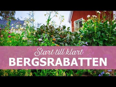 , title : 'I min trädgård: Bergsrabatten - från start till klart'