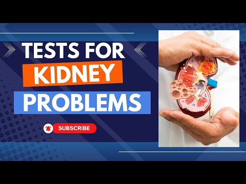 Urine test se kya pata chalta hai Qualitative analysis of urine Urinalysis test
