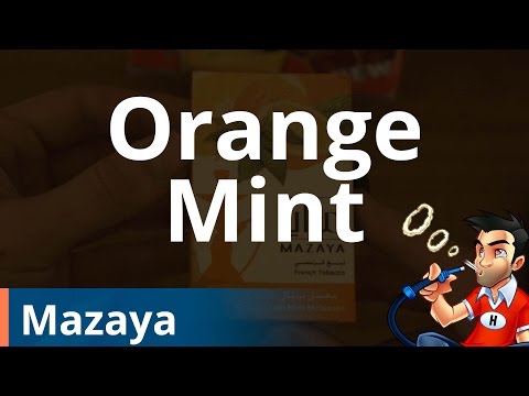 Mazaya Orange Mint Shisha (Hookah) - Review