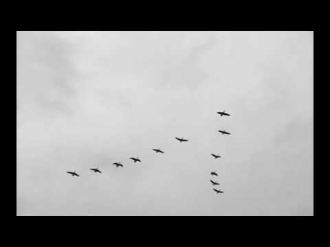 Styles Savage - with me.