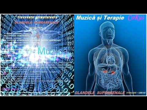 CoRus - Glandele Suprarenale  + 1335 Hz / Adrenal glands + 1335 Hz
