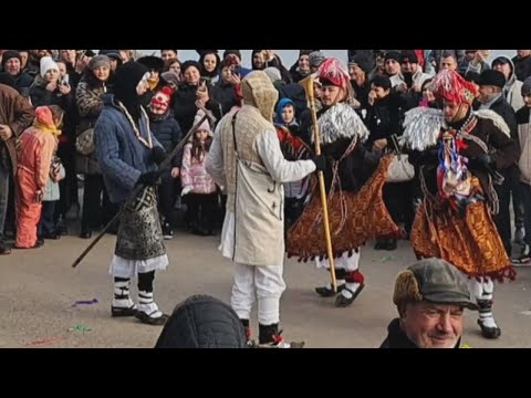 Real Romanian Village Traditions: Everyday Life in Comuna Români