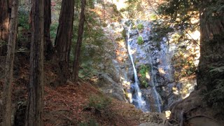 preview picture of video 'Short Hike in Pfeiffer Big Sur State Park and Pfeiffer Falls'