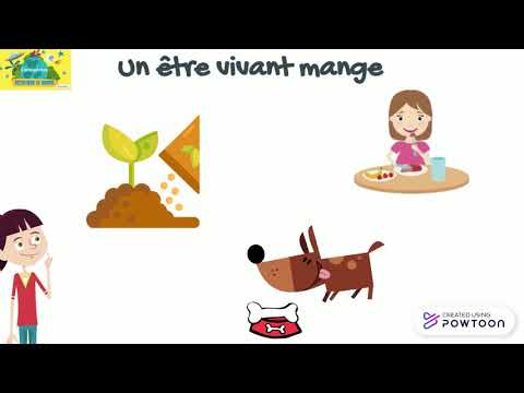 Les êtres vivants et non-vivants 1