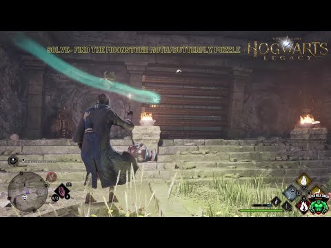 Hogwarts Legacy: The Centaur & the Stone: Solve- Find the Moonstone Moth/Butterfly puzzle gameplay.