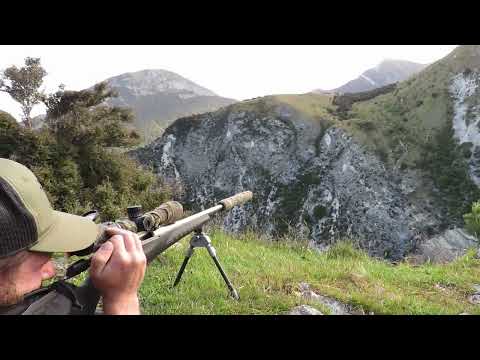LONG RANGE HUNTING NEW ZEALAND | DAY ONE SNIPING FERAL PESTS IN EPIC COUNTRY | HUGE FALL FROM CLIFF!