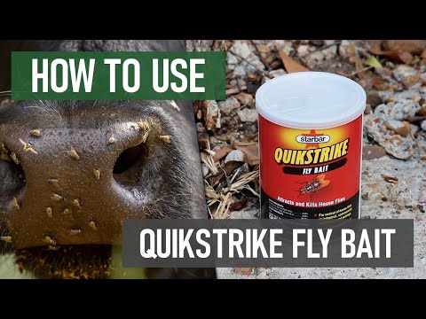 How to Use QuikStrike Fly Bait [Agricultural Fly Control]