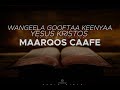 WANGEELA GOOFTAA KEENYA YESUUS KIRISTOOS MAARQOS BARREESSE BOQONNAA GUUTUU Audio BIBEL