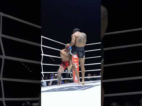 BEAUTIFUL combination by Blake Anthony! | Islandfights.com  #mma