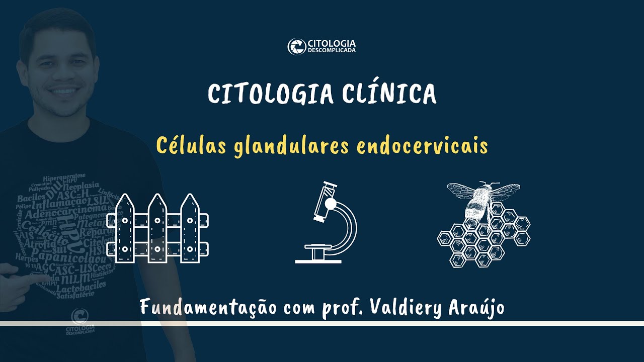 Fundamentos da Citologia Clínica: células glandulares endocervicais.