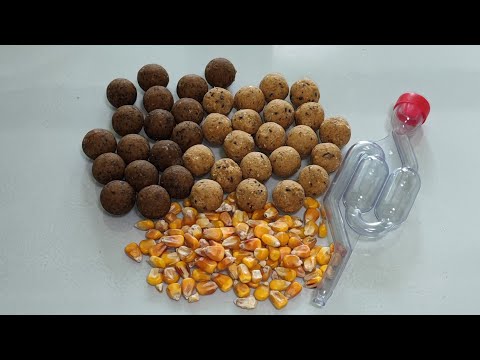 Partikel Fermentation, Mais, fermentieren von Maismehl für die Boilie Herstellung