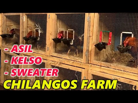 QUALITY !! Kelso Asil Sweater Xavier Rodriguez Chilango's Farm