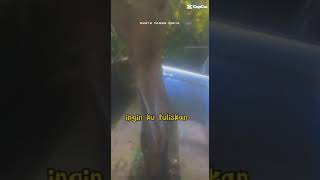 Download lagu ''Alhamdullilah,bertemu ibu haji,saya dikasi bingkisan sebuah kompor gas, mp3