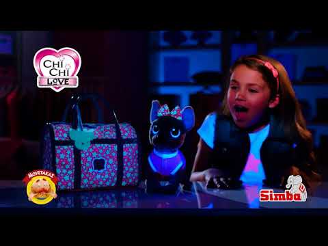 Simba chi meilės šuns poo šuniukas video