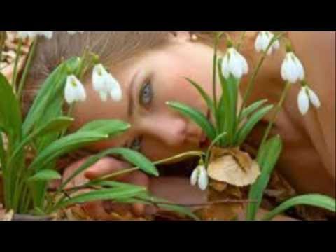 Emily cover