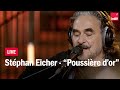 Stephan Eicher joue un titre de son nouvel album "Poussière d'Or"