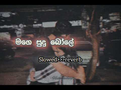 Mage sudu bole| මගෙ සුදු බෝලෙ | slowed&reverb