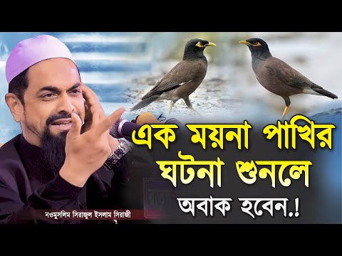 এক ময়না পাখির ঘটনা শুনলে অবাক হবেন.! - ড. সিরাজুল ইসলাম সিরাজী