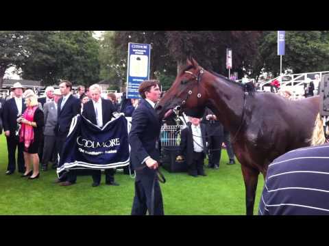 Ortensia wins Nunthorpe Stakes 24 Aug 2012, York Racecourse