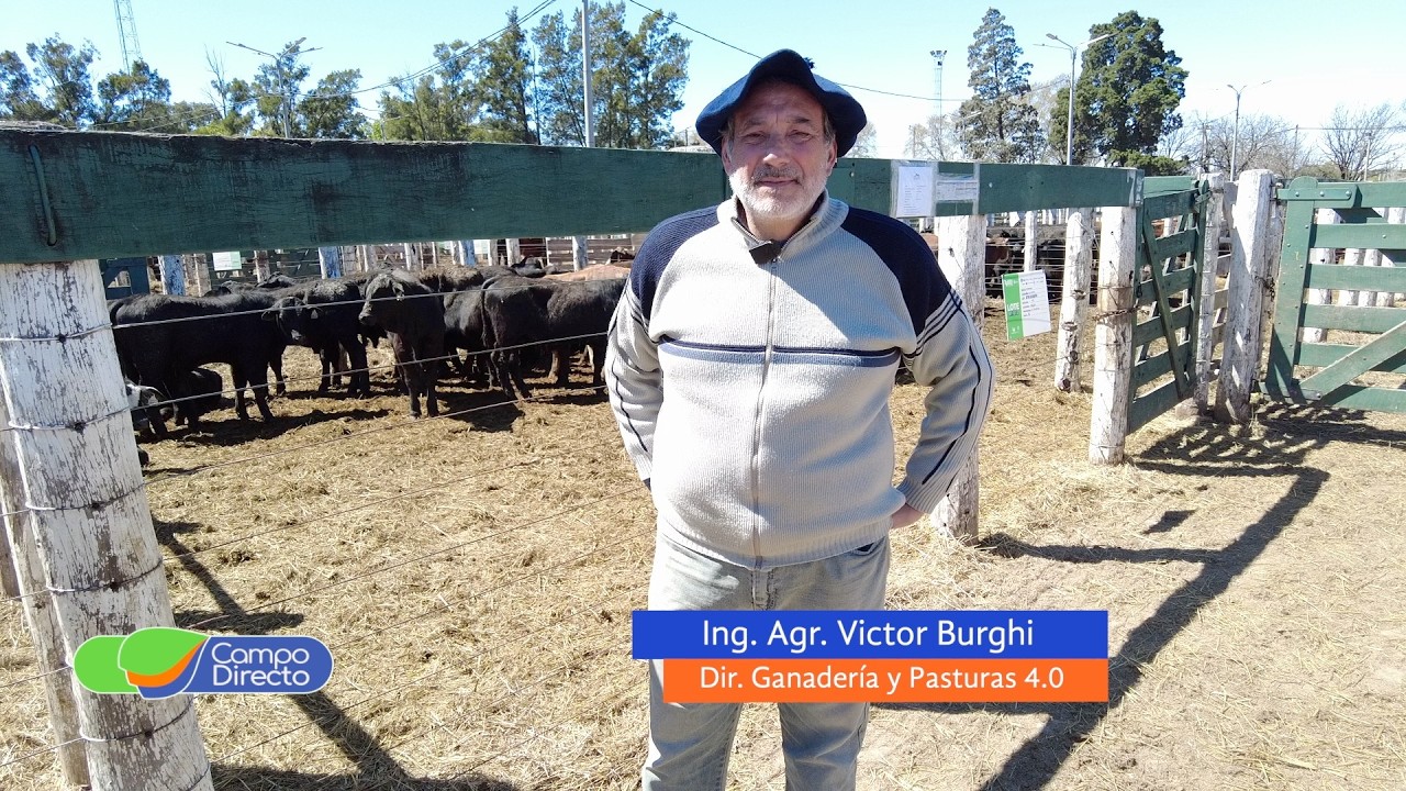 Campo Directo | Recría eficiente para transformar forraje en kilos de carne