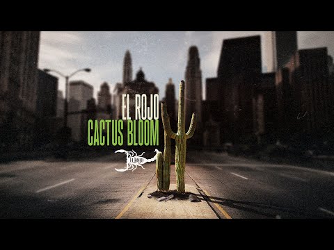 El Rojo - Cactus Bloom (2020) - Official Video