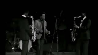 James Brown &amp; The famous Flames ( Try Me )