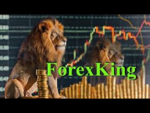 Video Forexking