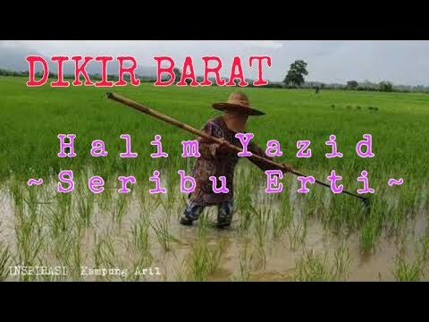 Seribu Erti - Halim Yazid - Sawah Padi Kampung Aril
