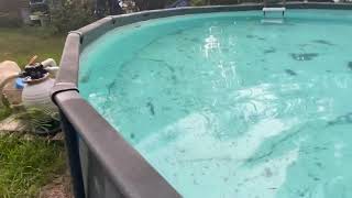 Pool: 6WKS NEGLECTED