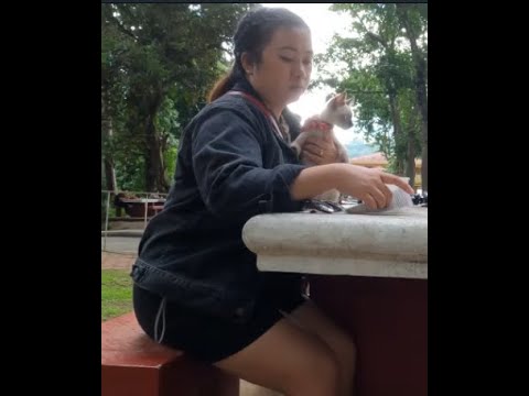 Meet Kira | My first Cat