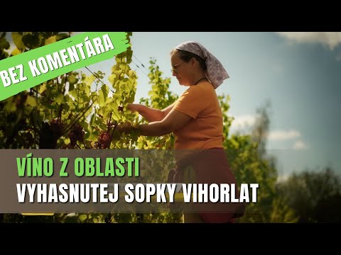 BEZ KOMENTÁRA - Vinobranie na Zemplíne