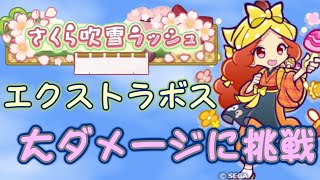 【ぷよクエ】お久しぶりです！体調壊しまくりでした～・・