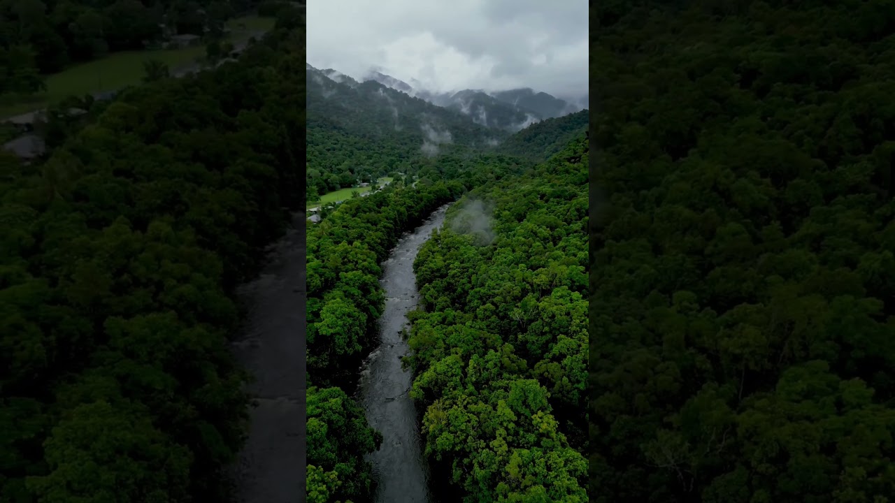 YouTube Short thumbnail