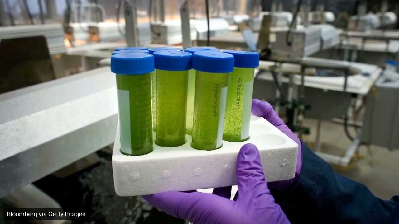 Applying Genomics