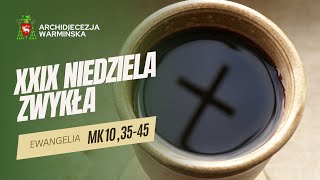 SŁOWO NA NIEDZIELĘ - 20.10.2024 r. - Abp Józef Górzyński