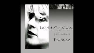 David Sylvian &#39;Promise &#39;