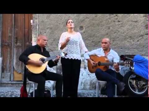 sergio costa e ivan cardoso-visitas cantadas