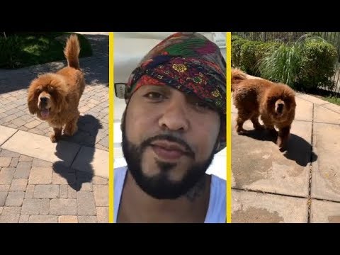 download lagu mp3 mp4 French Montana Dog, download lagu French Montana Dog gratis, unduh video klip French Montana Dog