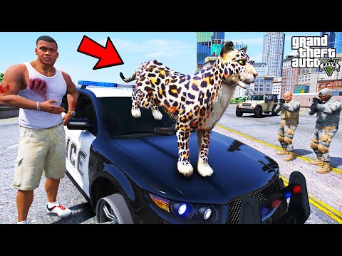 Franklin Trying to Catch a Hungry Cheetah in GTA 5 | SHINCHAN and CHOP