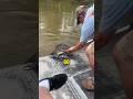 Guy shoos away gator #animals #viral #funnyvideo