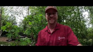 Which Mulch Is Best​⁠