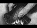 Bite Hi Spy Official Audio Video