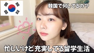 留学は自分の行動次第で充実度が変わる💪✨【韓国留学】