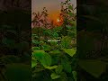 Mungaru Maleyalli Song Andondittu Kaala Lovesong Newrelease Kannada Folaxx Studio