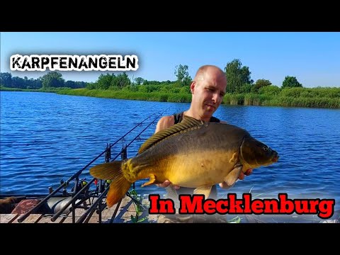 Karpfenangeln in Mecklenburg
